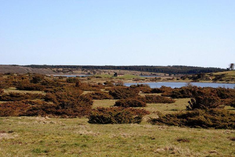 Hedelandets Camping Sevel Екстер'єр фото